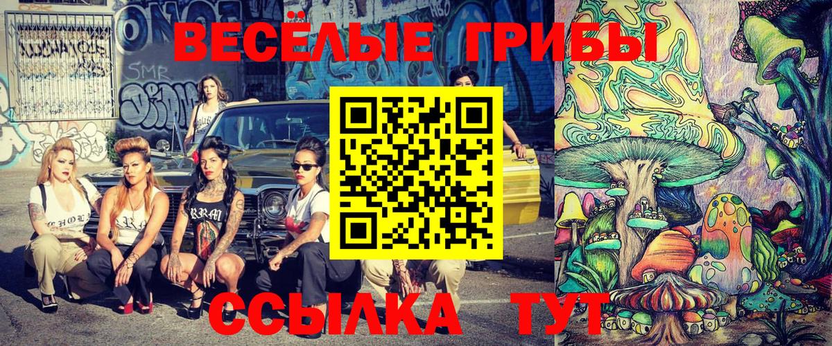 Москва  Галлюциногенные грибы MAGIC MUSHROOMS  Вход с VPN  Галлюциногенные грибы ЛСД 