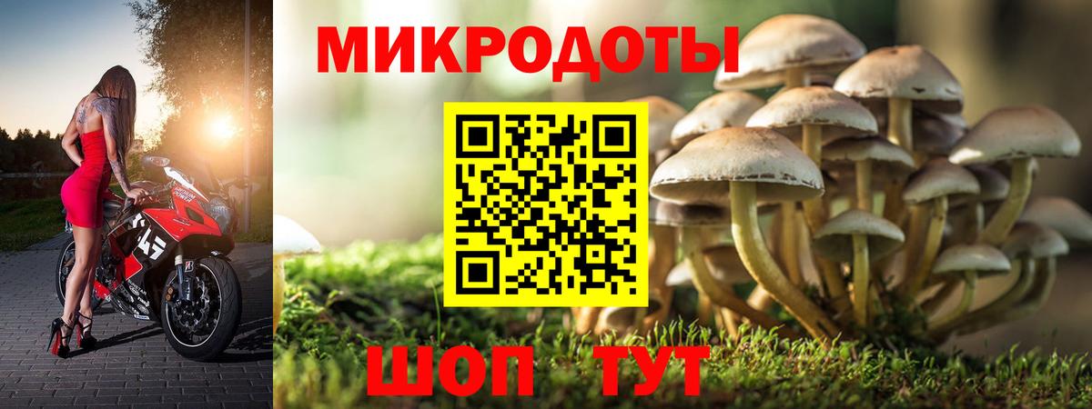 Псилоцибиновые грибы MAGIC MUSHROOMS Москва